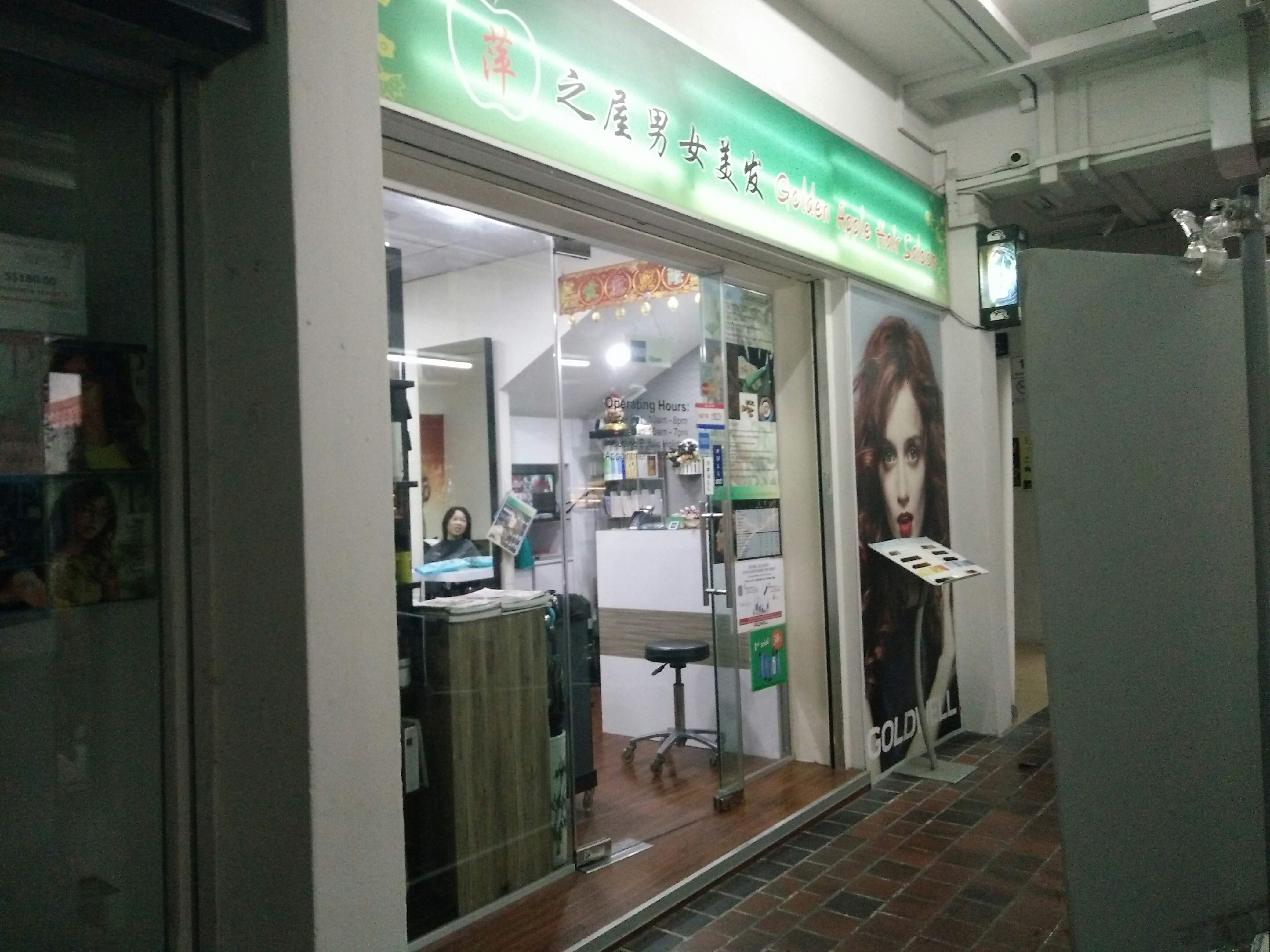 Singapore Service - Hair+Salon - Golden Apple Hair Salon | Nestia