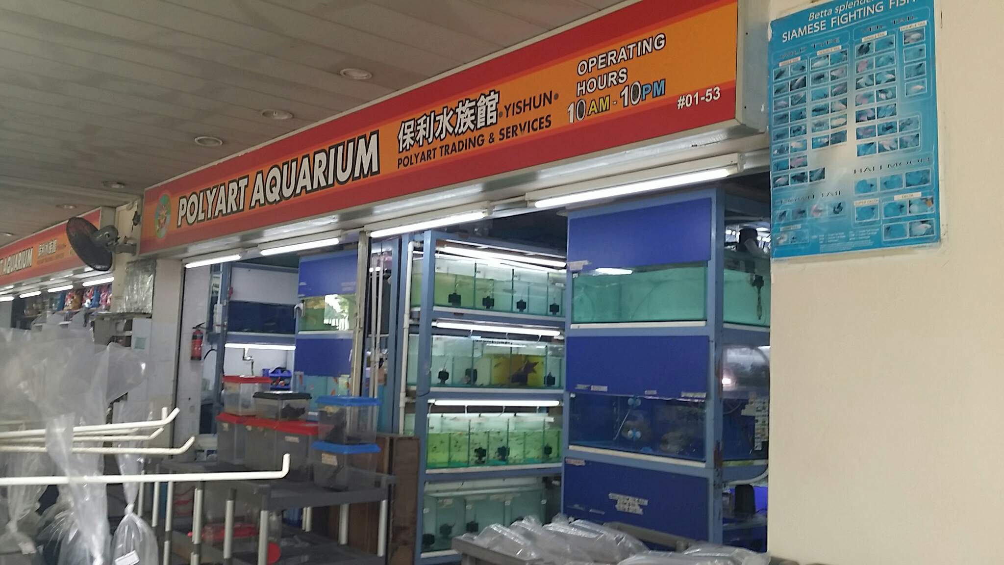 Polyart aquarium best sale