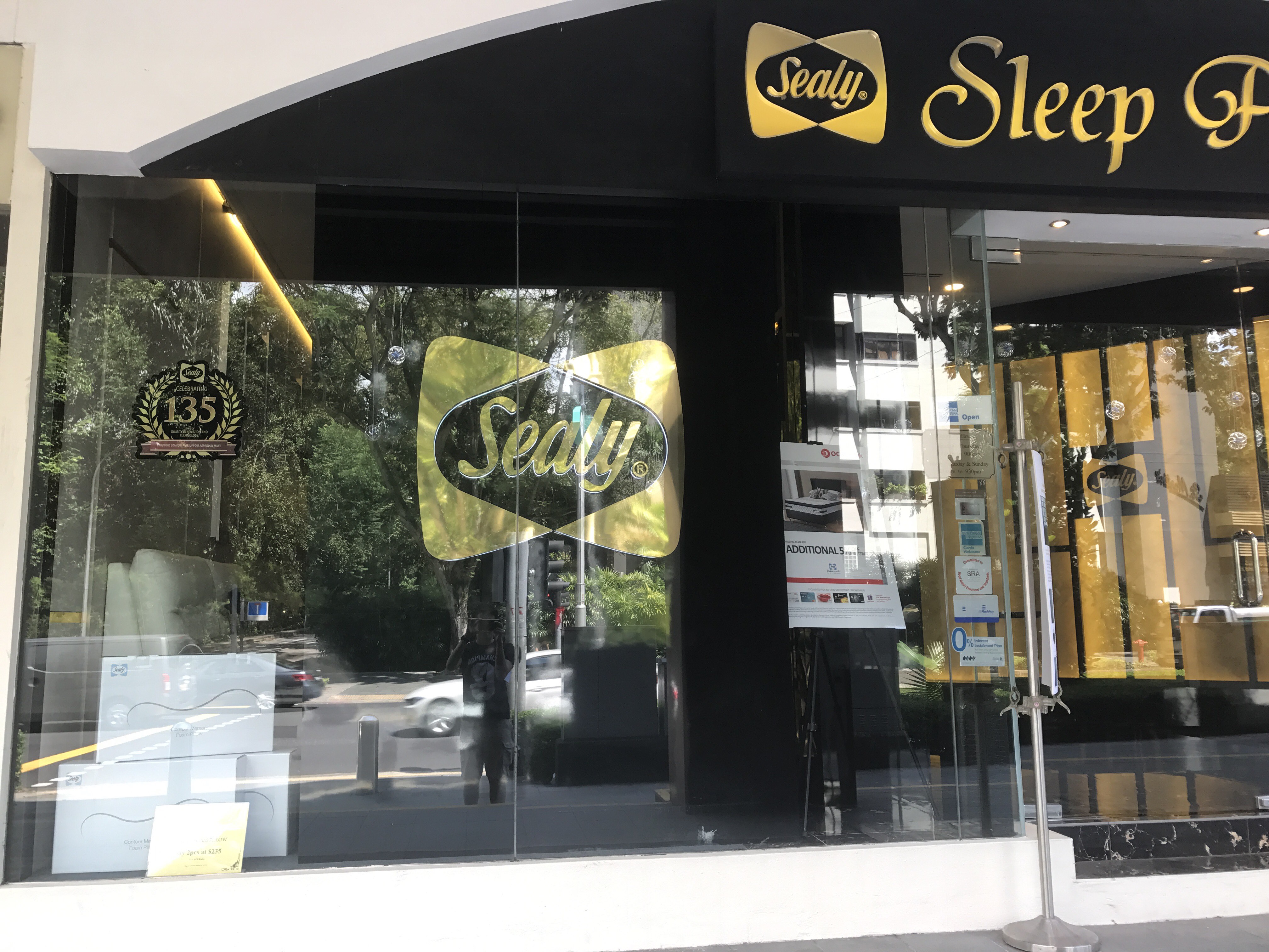 sealy sleep palace