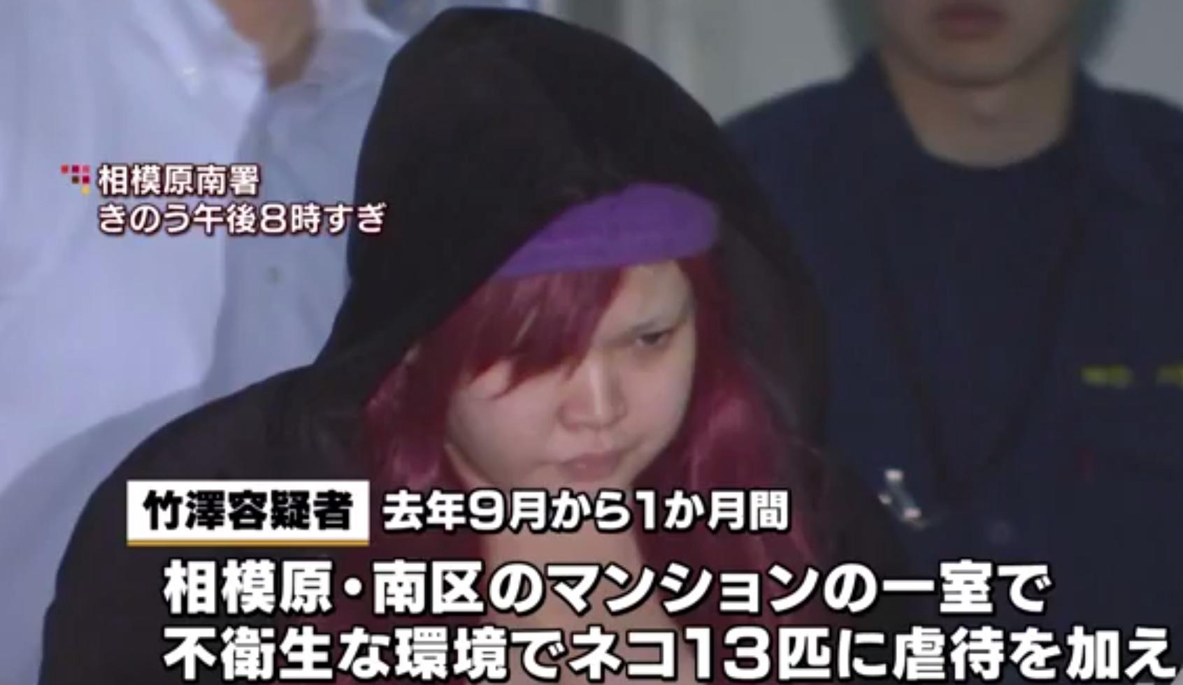 日本女子虐猫被逮捕11只猫被埋公园 Nestia