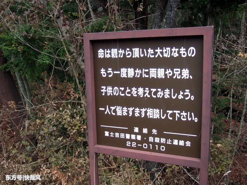 日本富士山暗藏 自杀名所 50年来找到上千具尸体 Nestia