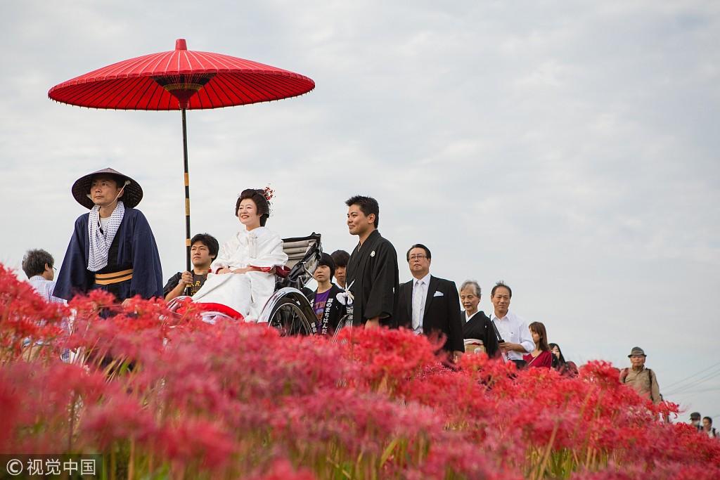 日本神社秋季盛典举行日式传统婚礼新娘坐黄包车穿过花海 Nestia