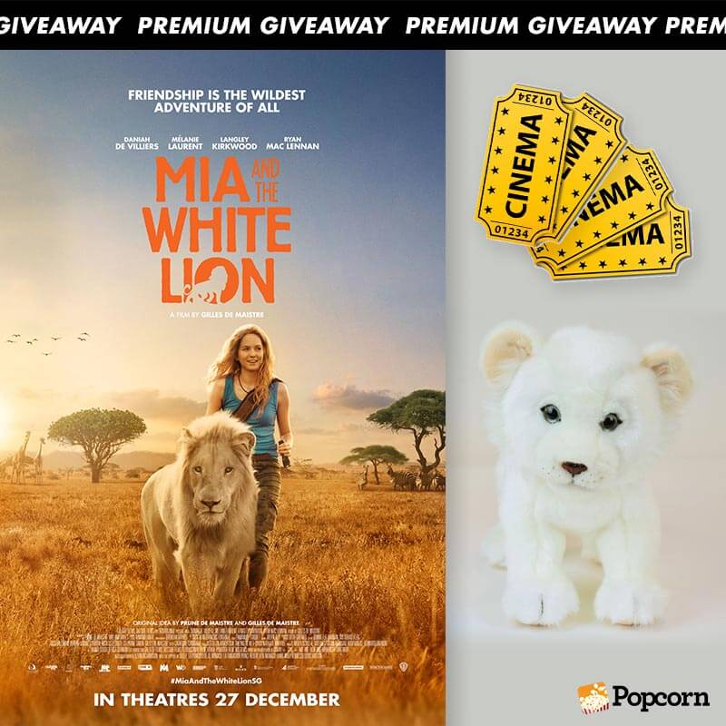 white lion soft toy