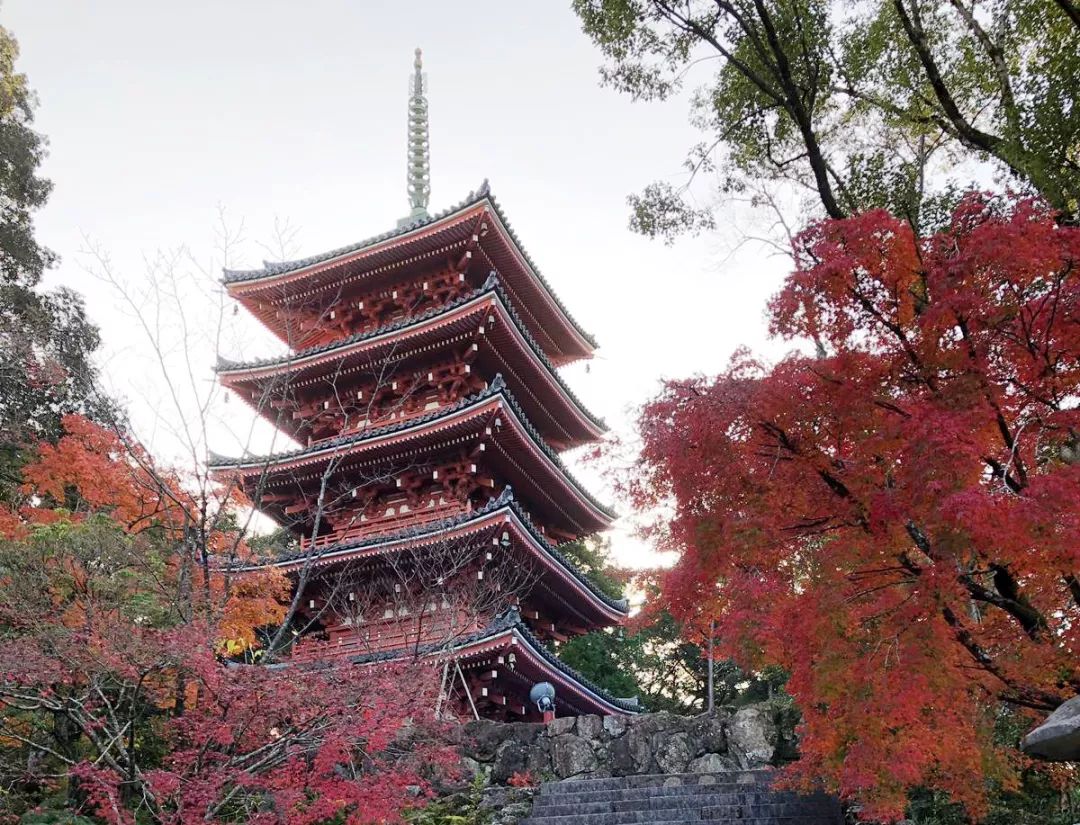 最美丽的自然风景 最珍贵的历史遗迹 日本高知县绝对是旅行资深达人的最佳选择 Nestia