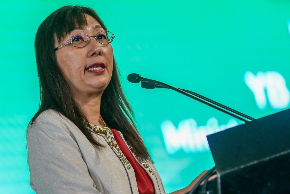 Teresa Kok: Oil palm planters, smallholders should consider other 