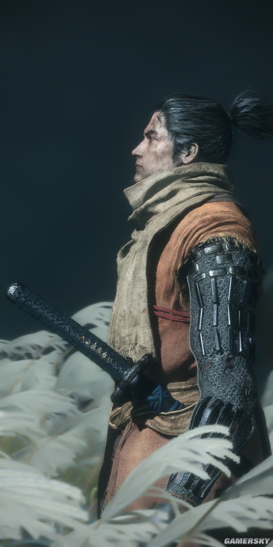 只狼 影逝二度 壁纸级玩家截图沉迷看风景无心救皇子 Nestia