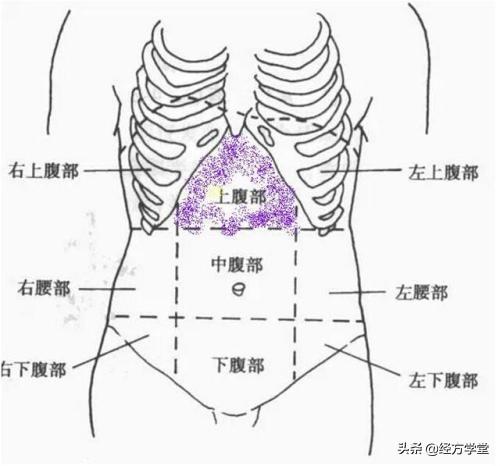 伤寒论 腹诊大全 让你诊断用方更精准 Nestia