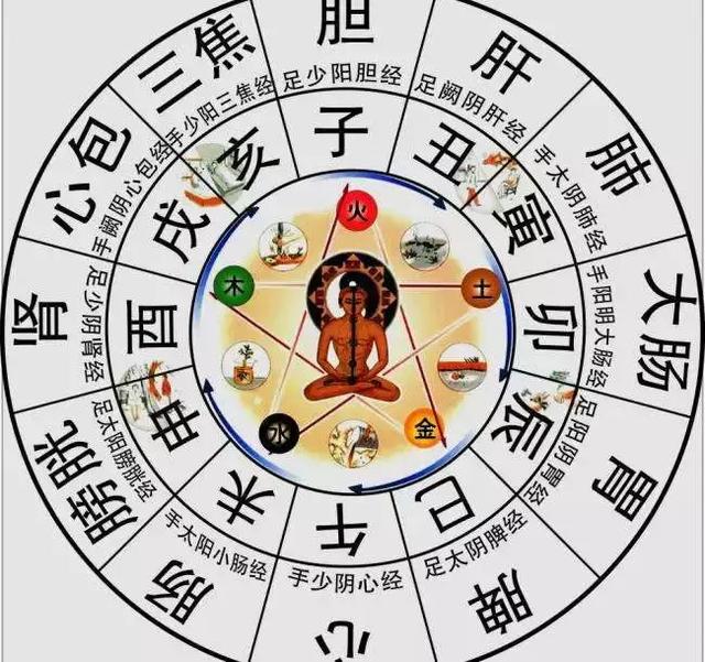 五脏六腑24小时养生排表 什么是子午流注 Nestia