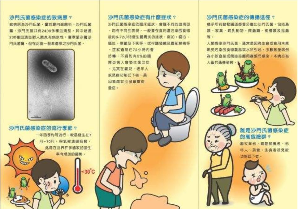 新加坡食品安全问题堪忧 沙门氏菌感染创三年来新高 Nestia