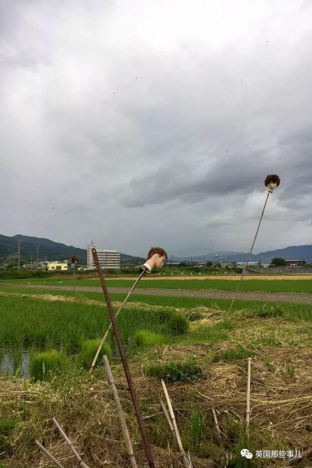 日本网友疯狂吐槽在乡下生活的日常 果然好山好水好无聊啊哈哈哈 组图 Nestia