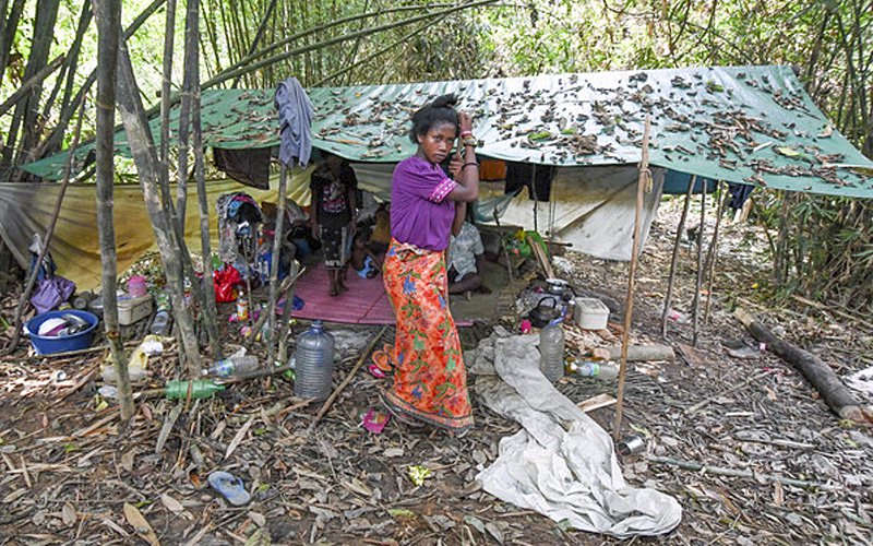 Orang Asli Deaths Not Due To Metal Poisoning Nestia