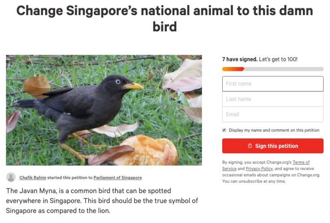 Someone Petitioned For Singapore S National Animal To A Javan Myna Instead Because Is Damn Common Nestia