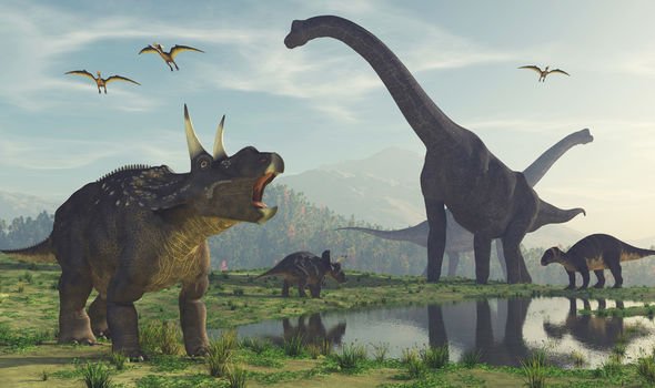 Fossil of 'largest flying animal ever' that hunted dinosaurs found on Isle  of Wight | Nestia