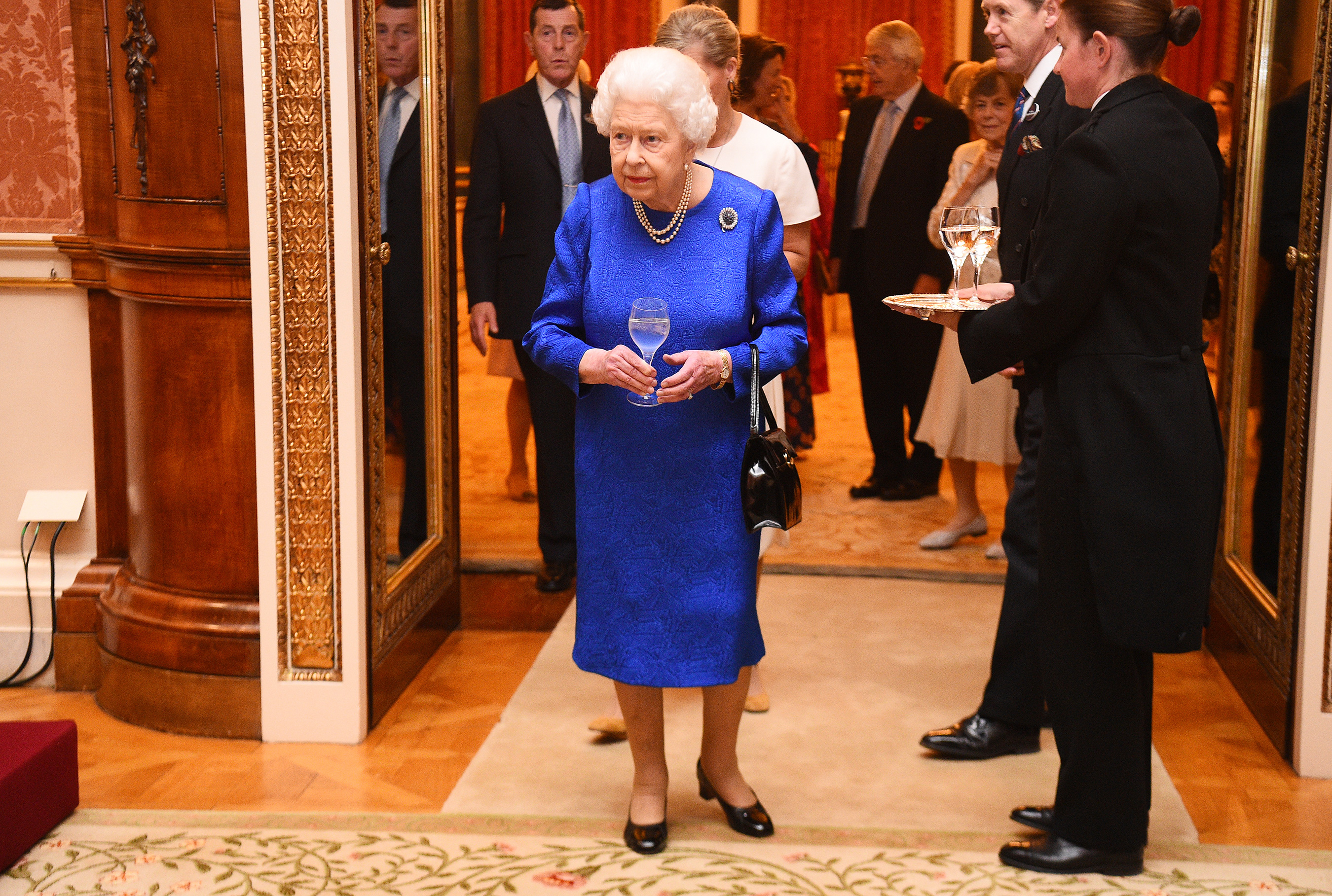 Queen Elizabeth Teams Up With Daughter In Law Sophie To Combat Blindness At Palace Reception Nestia