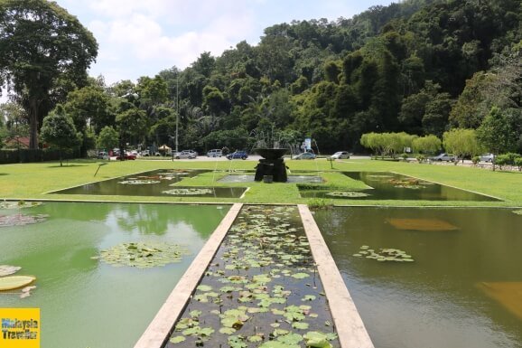 Botanic Gardens The Pride Of Penang Nestia