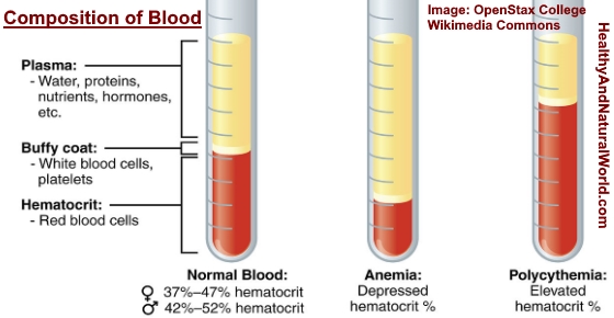 signs of low hematocrit and hemoglobin