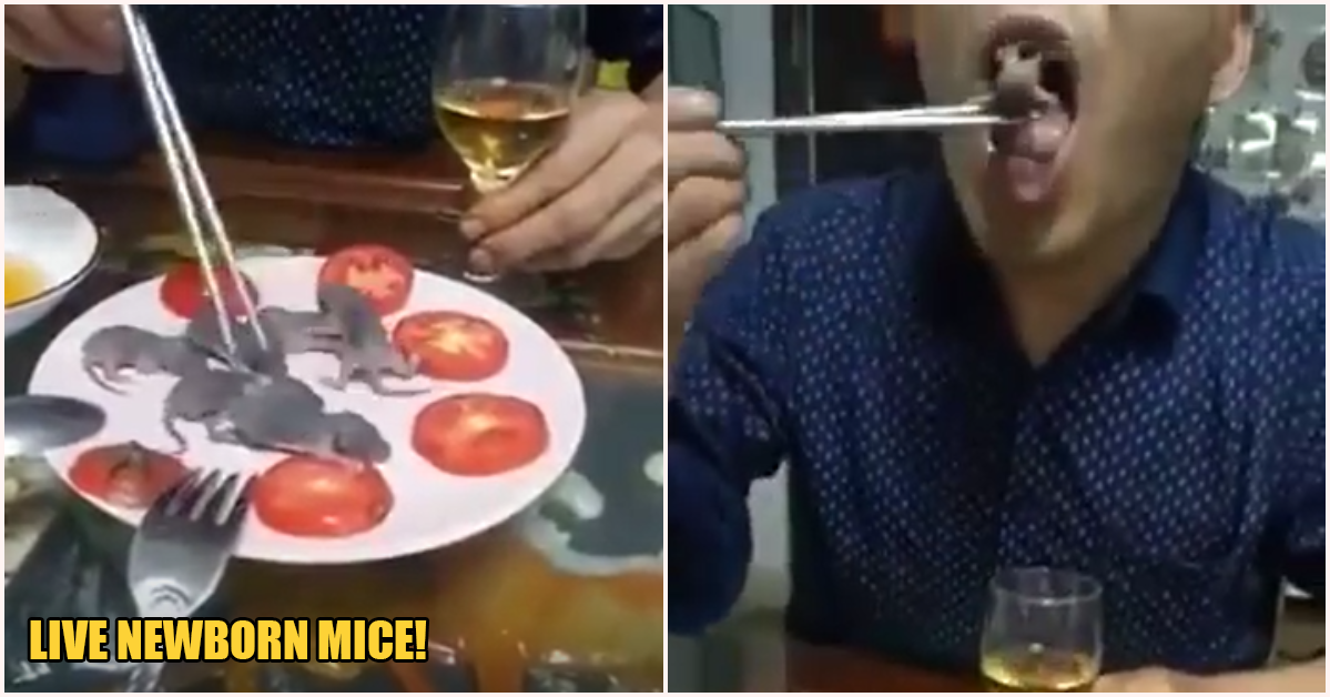 Man Casually Sips Liquor & Eats Live Newborn Mice Amid Wuhan Virus Crisis |  Nestia