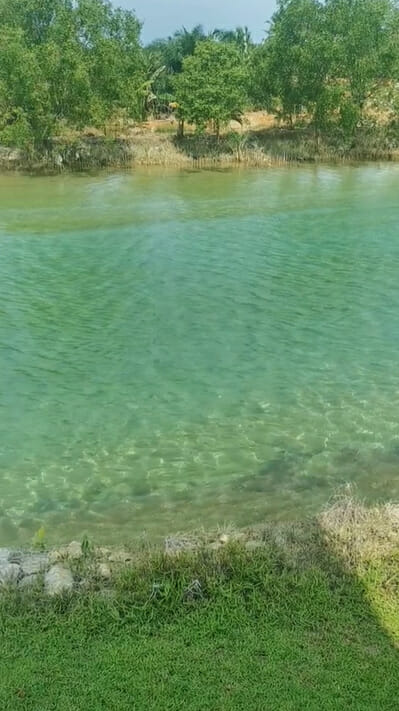 This Crystal Clear River Was Dubbed The Maldives Of Melaka But You Can T Swim In It Nestia