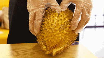 Have You Wondered Why Durians Smell The Way They Do? Here's The Truth | Nestia