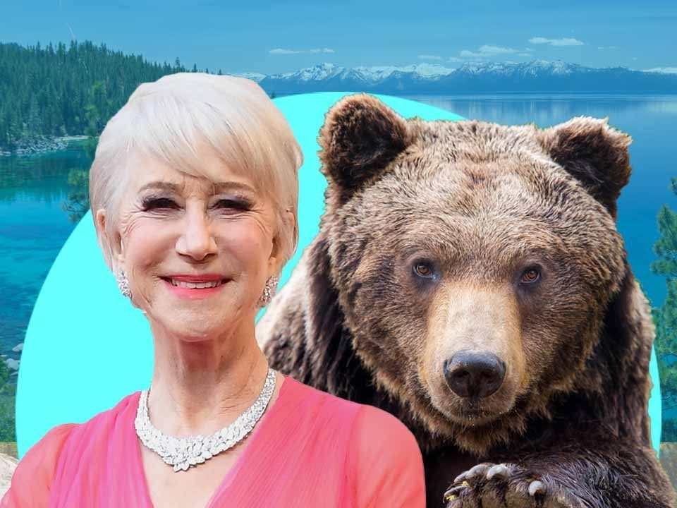 Dame Helen Mirren Casually Chased Away ‘great Big Black Bear That Wandered Into Her Garden Nestia 8026