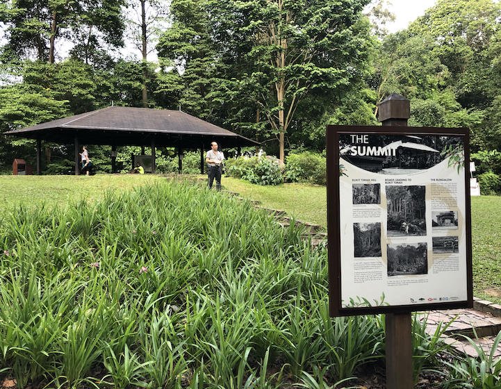 Guide To Bukit Timah Nature Reserve And Hindhede Nature Park Nestia