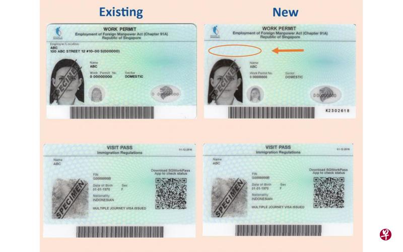 Domestic Workers New Work Permit Will No Longer Show Employers Name check-work-permit-number-uae-how-to-check-work-permit-number-in-dubai