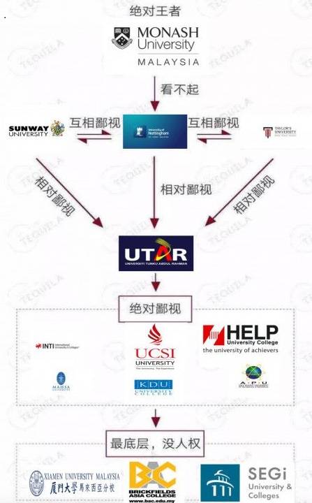 网友制作大学鄙视链图表网络疯传 网友 Taruc是世外高人吗 Nestia