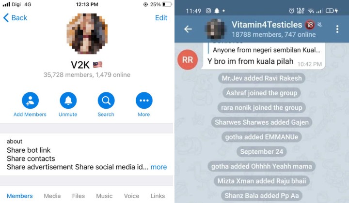 Victims Of V2k Telegram Group Come Forward To Report Abuse Nestia