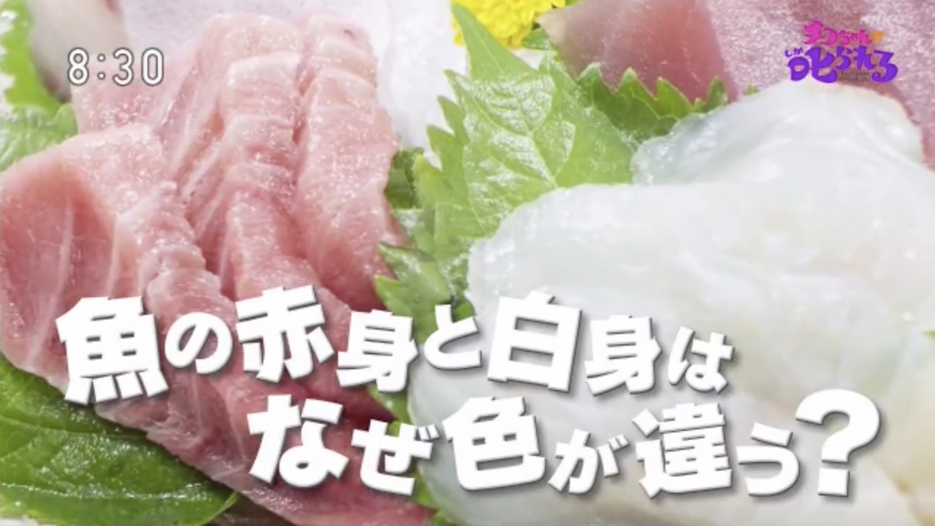 刺身点解分 赤身 白身 日本节目讲解赤身鱼白身鱼分別 Nestia