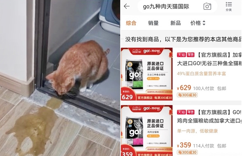 中国进口猫粮传有问题千只猫呕吐死亡 Nestia