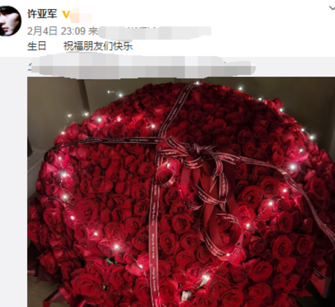 许亚军生日大秀恩爱 四婚娶小12岁娇妻 与何晴儿子颜值不如爸妈 Nestia