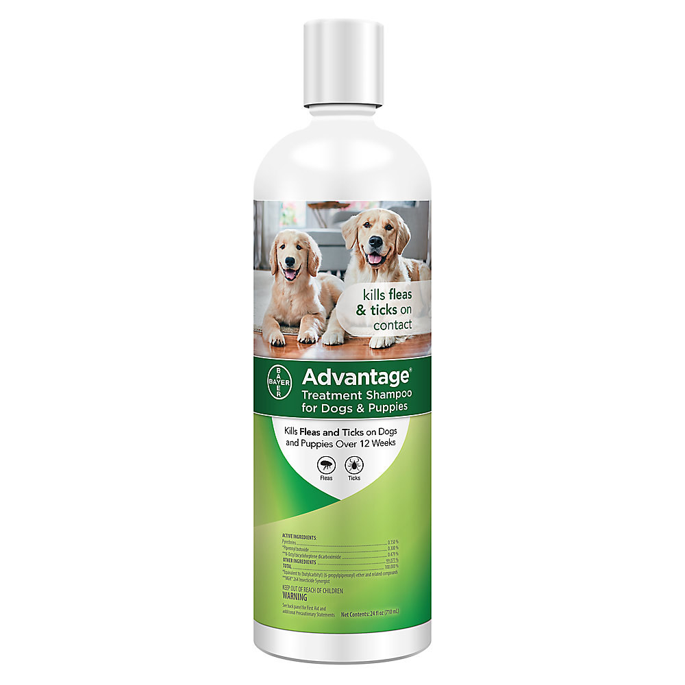 rocco and roxie stain and odor eliminator petsmart