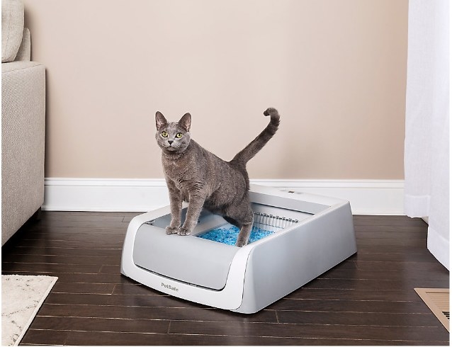 rocco and roxie stain and odor eliminator petsmart
