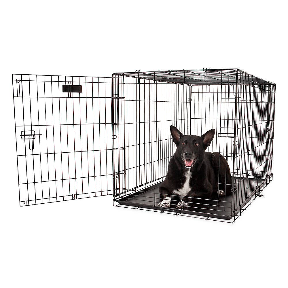 rocco and roxie stain and odor eliminator petsmart