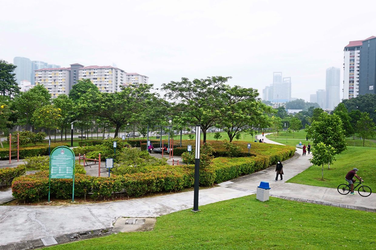 100 Trees Planted In Urban Forest Nestia