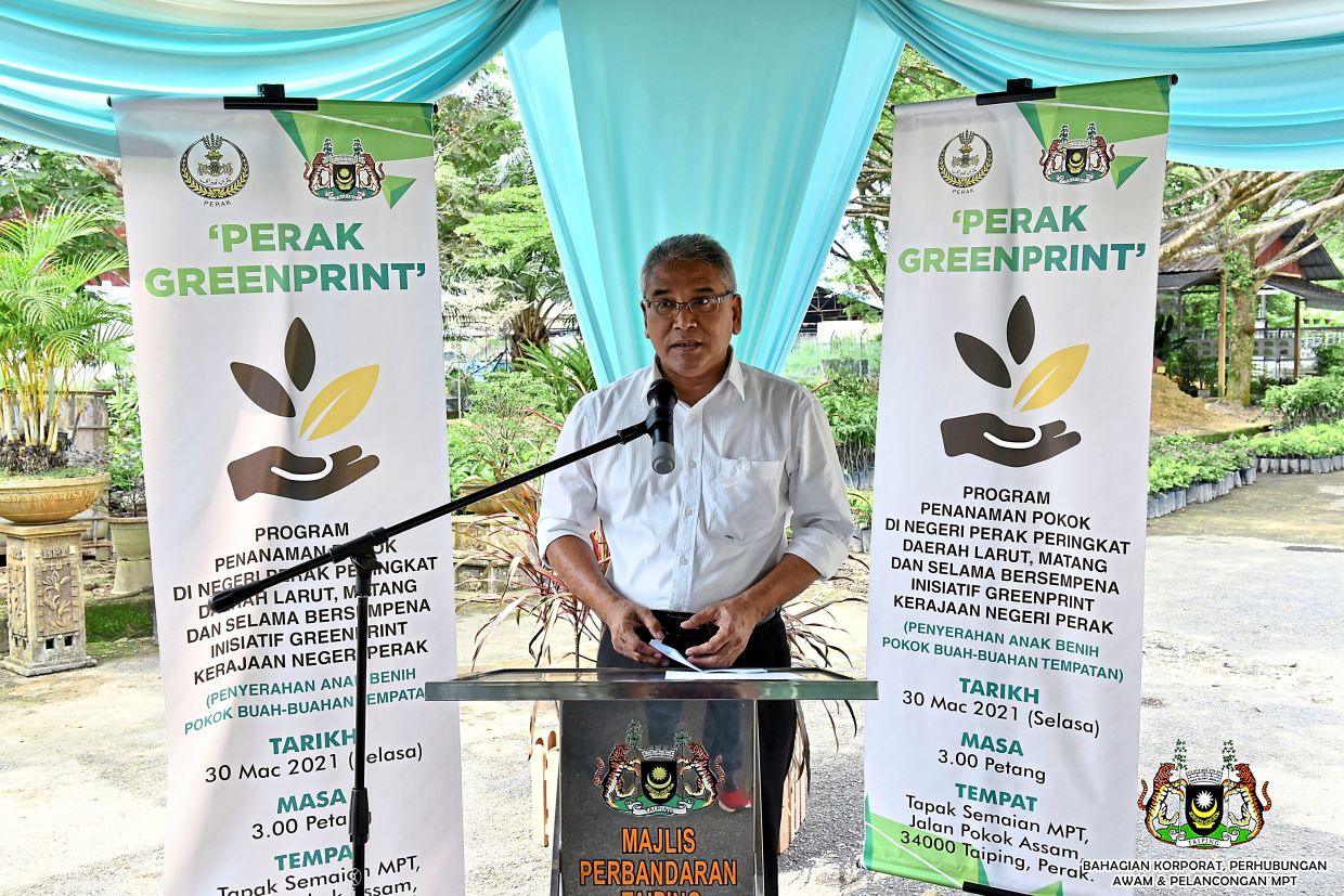 6 500 Fruit Trees For Larut Matang And Selama District Nestia