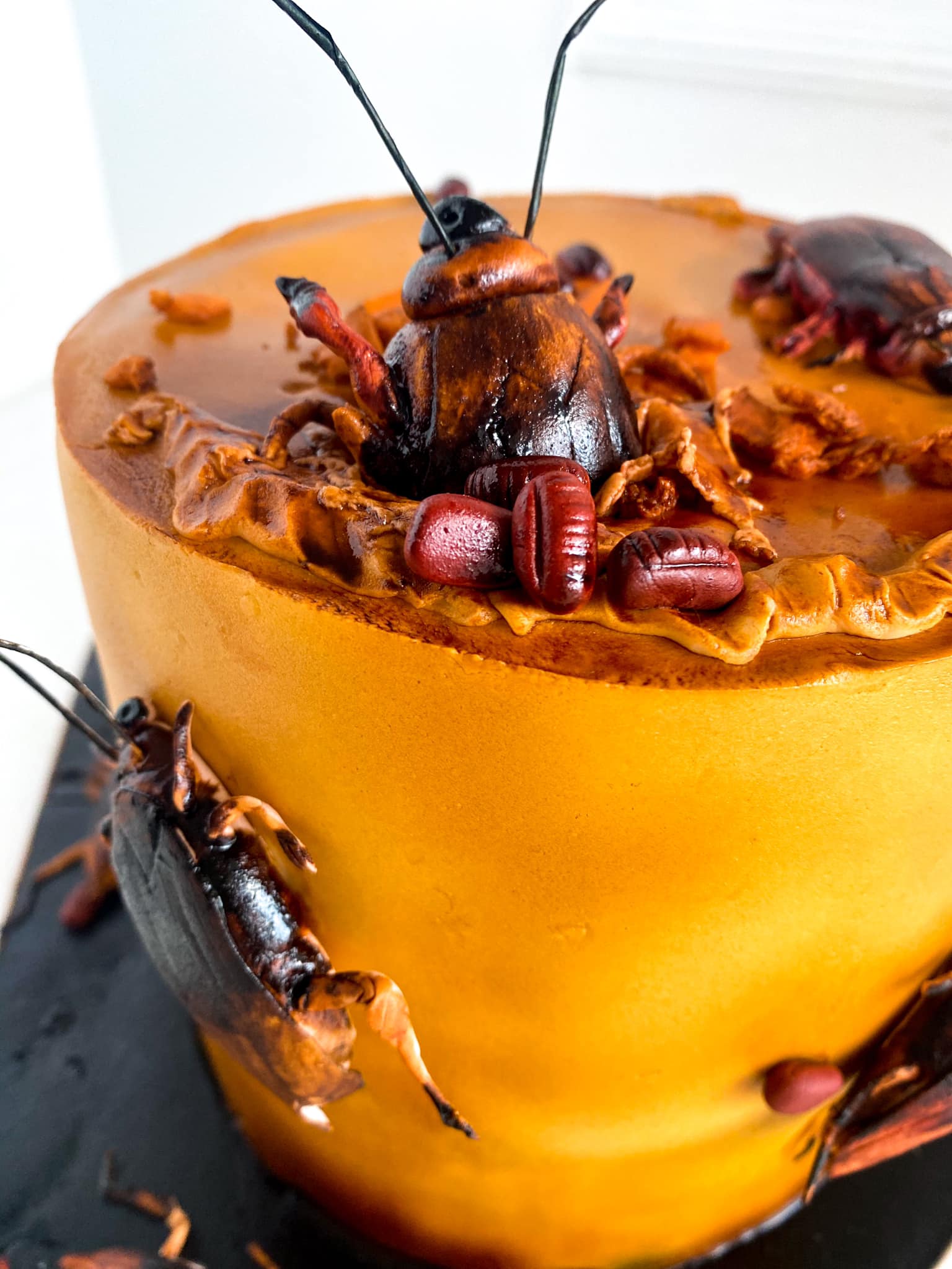 Woman in the Philippines orders realistic 'cockroach cake' for husband ...