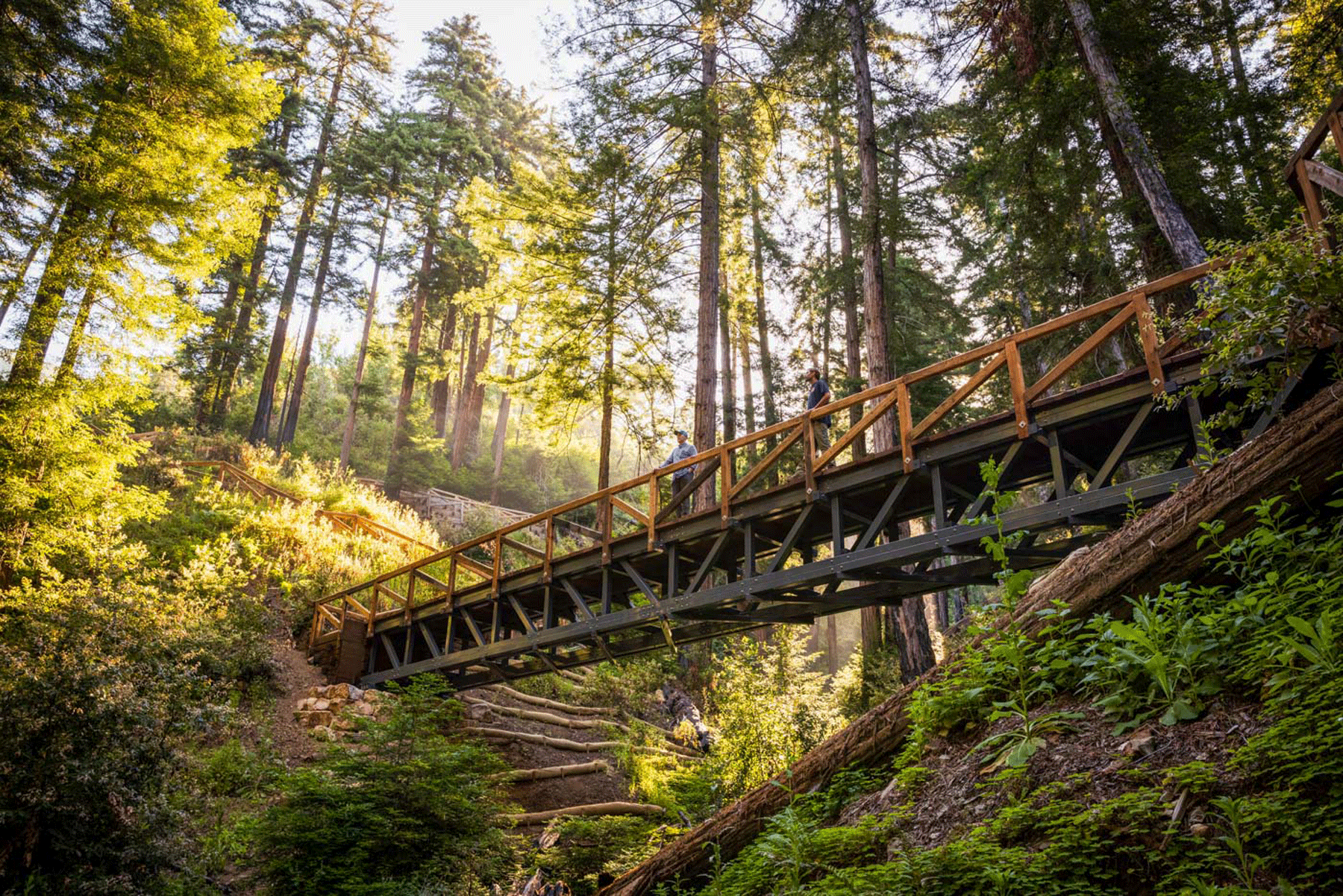 a-hiking-trail-through-california-s-redwoods-is-reopening-after-a