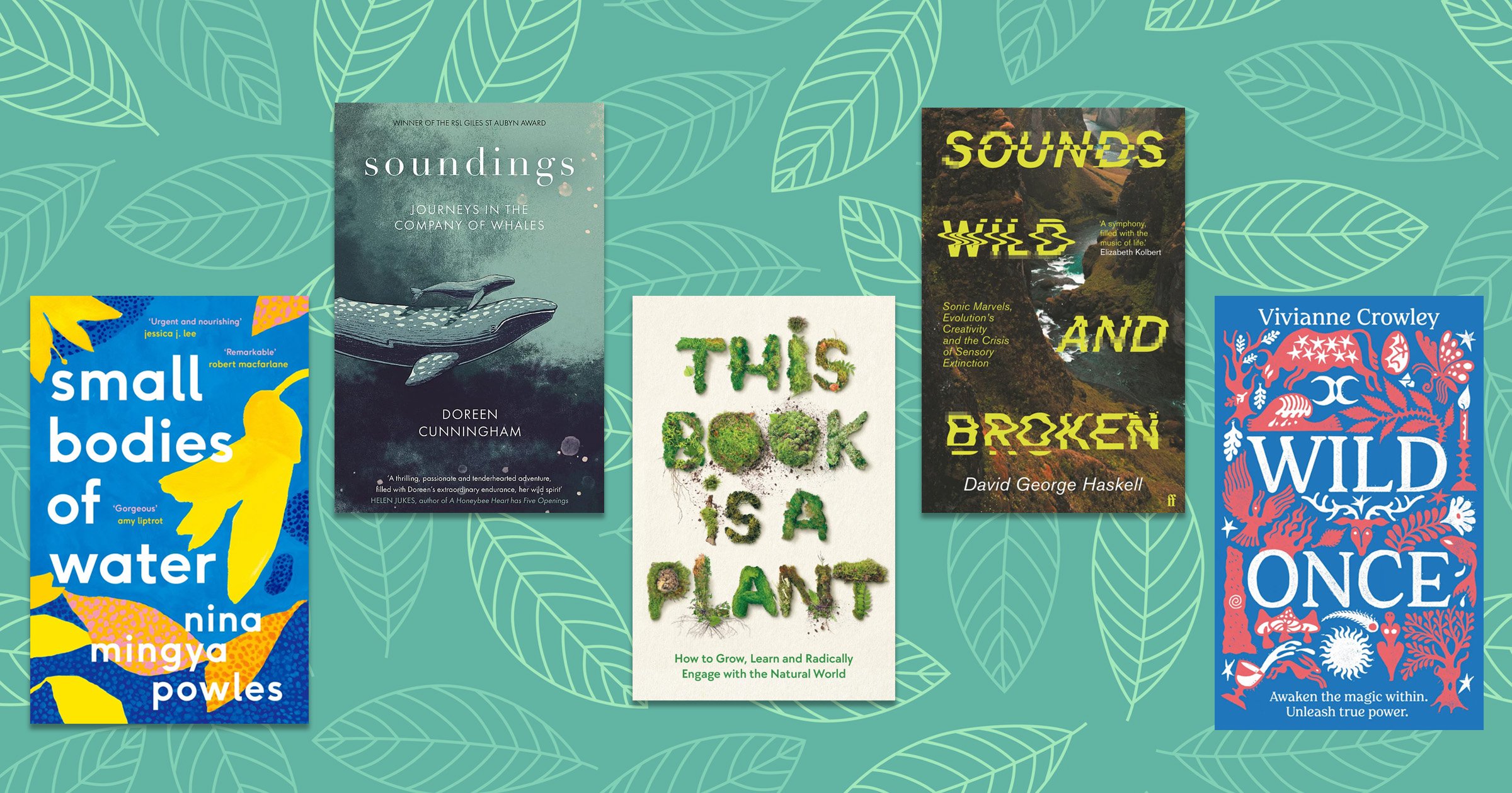 these-are-the-best-books-to-read-about-the-environment-and-climate