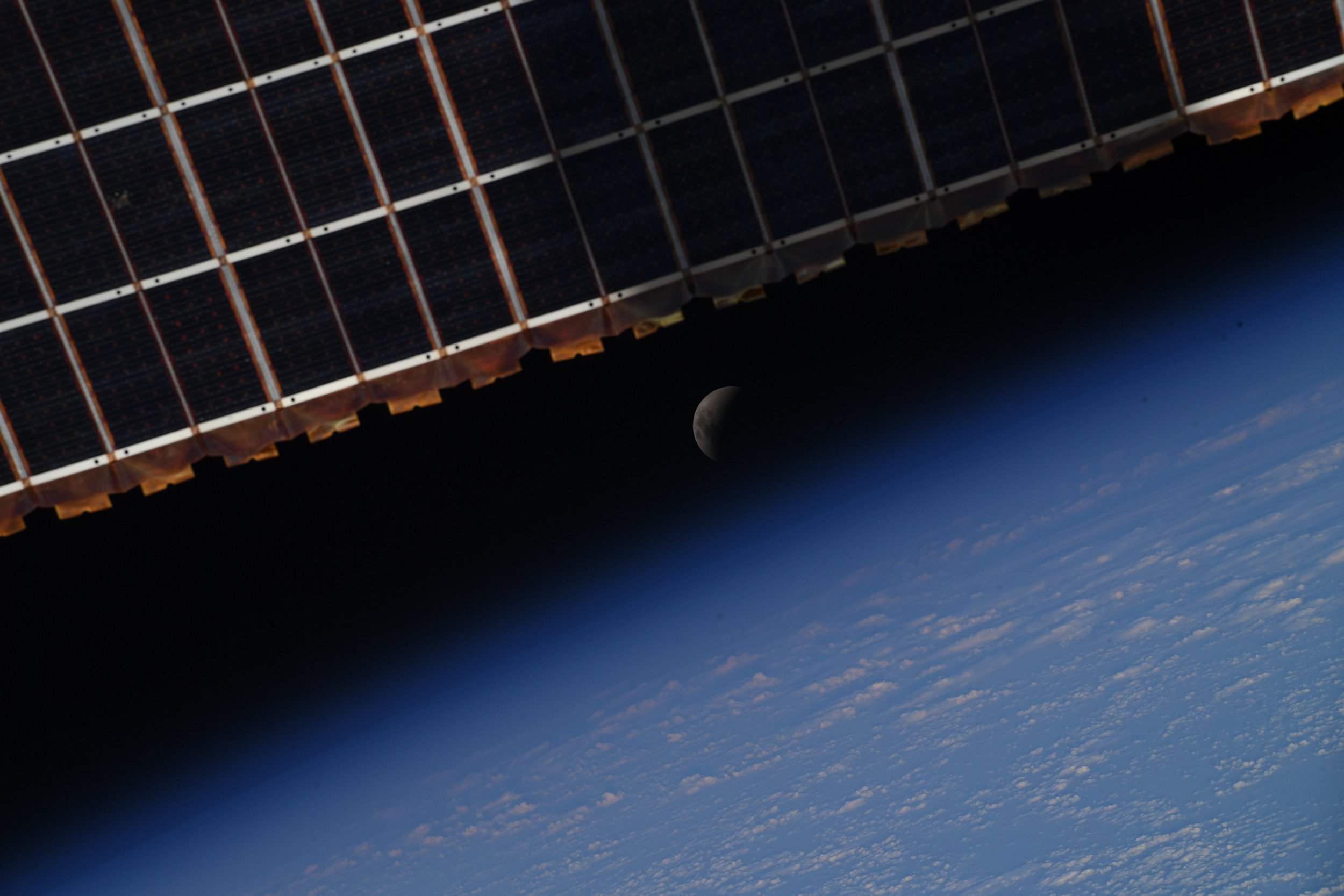 Astronaut shares pictures of yesterday’s lunar eclipse from space Nestia