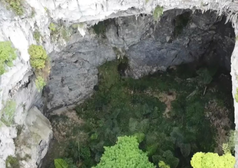 Ancient forest hidden in newly discovered 192-metre sinkhole in China ...