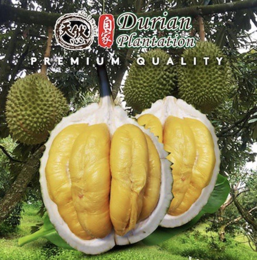 5 Best Places to Buy Affordable Durians Online ‘Coz Durians Aren’t ...