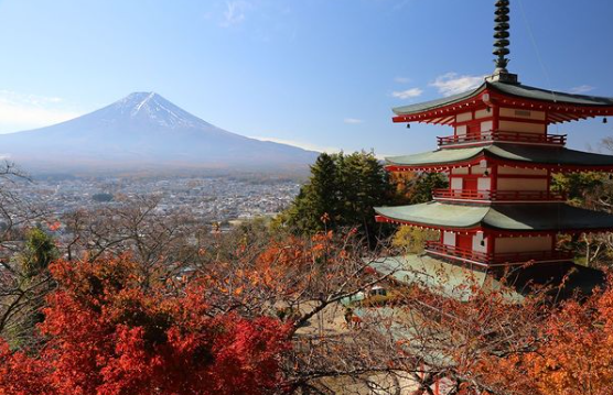 日本自由行2023｜远眺富士山绝美全景胜地 新仓富士浅间神社 650株樱花盛开打卡一流 