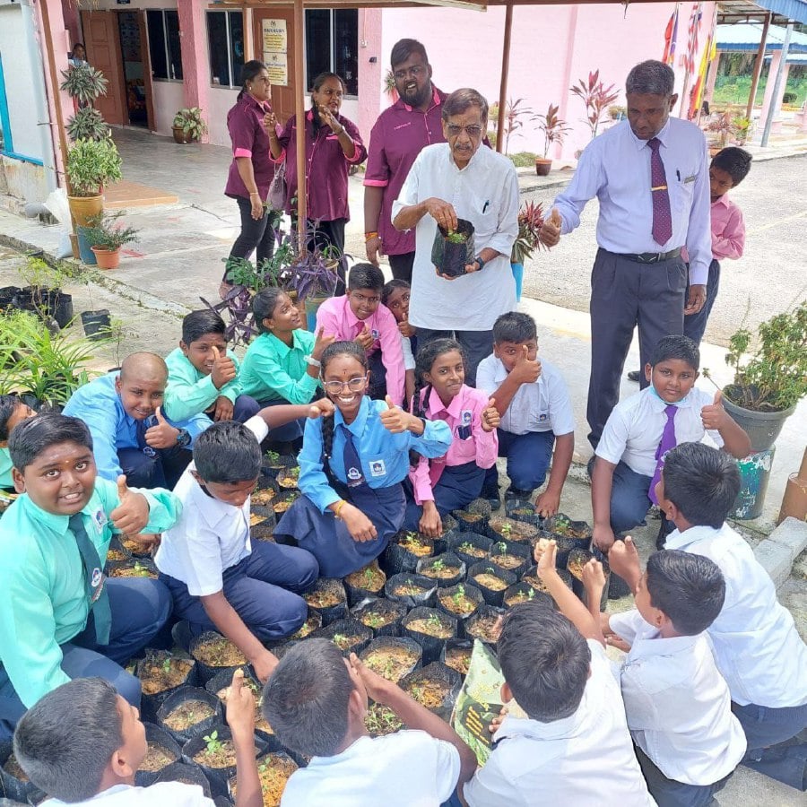 CAP: Promote farming in schools | Nestia