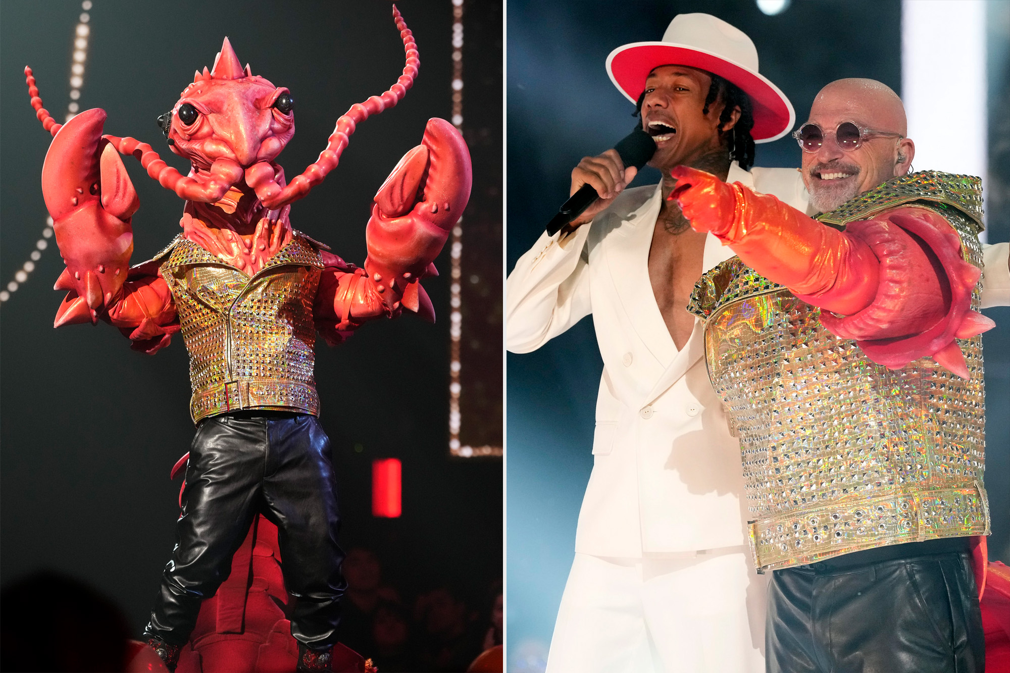 The Masked Singer Season Reveals See Every Unmasked Celebrity Contestant Nestia