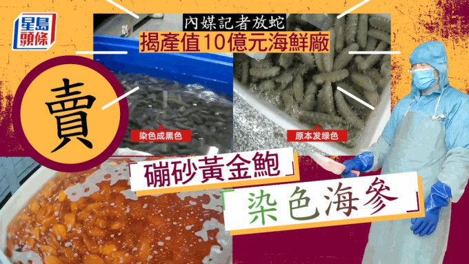 食匀元素周期表｜大连产值10亿海鲜厂 被揭卖硼砂黄金鲍、染色海参 Nestia