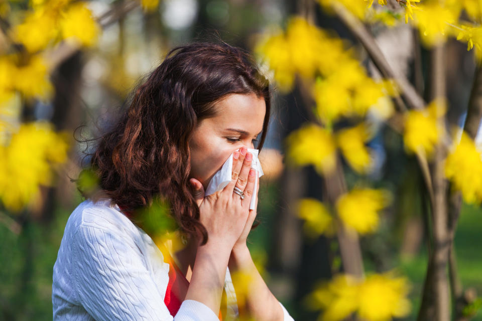 the-three-different-types-of-hay-fever-as-pollen-bomb-to-hit-uk-nestia