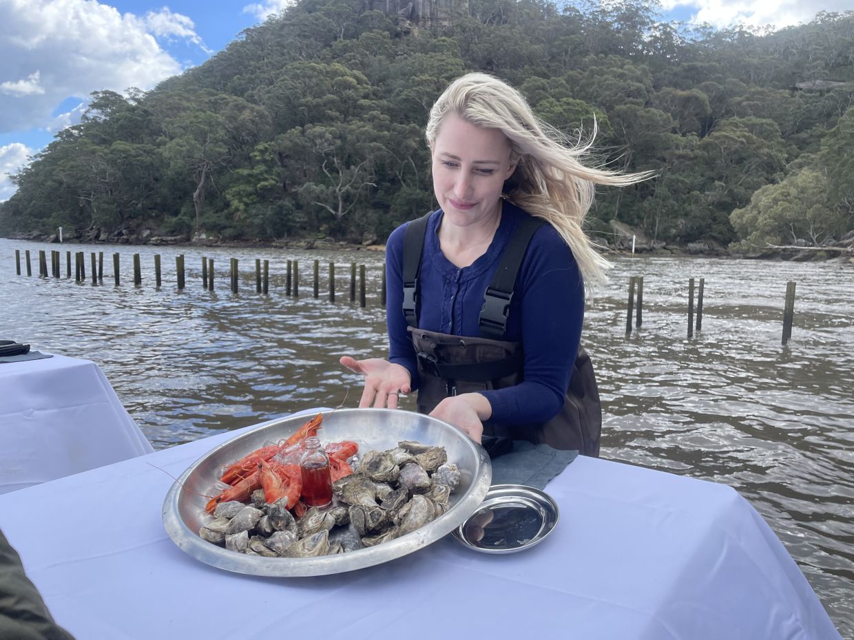 ‘Kidneys of the waterways’ The vital role oysters play in the marine ecosystem Nestia